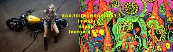 Альфа ПВП Майский